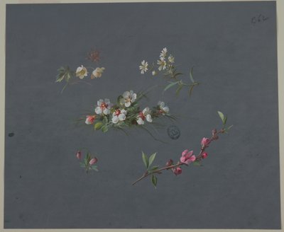 Design för tapeter och textilier: Blommor av Unknown artist
