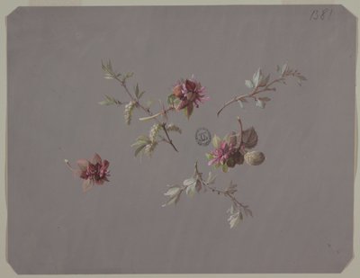 Design för tapeter och textilier: Blommor av Unknown artist