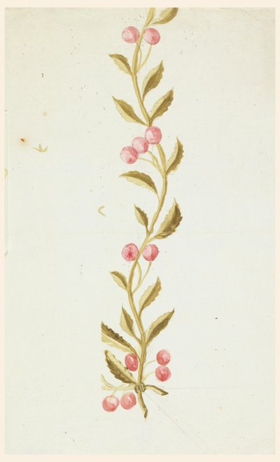 Design för vävda eller broderade bårder av Unknown artist