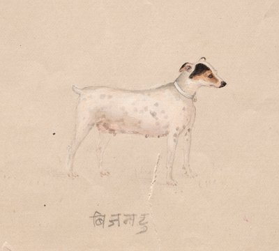Hund av Unknown artist