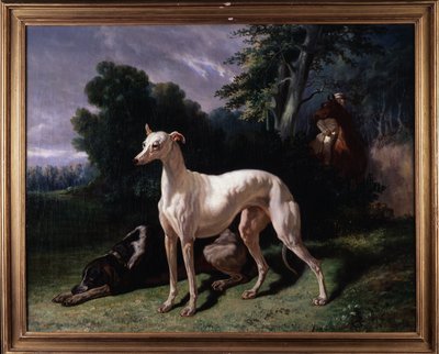 Hundar (Levary) - Målning, Olja på duk av Unknown artist