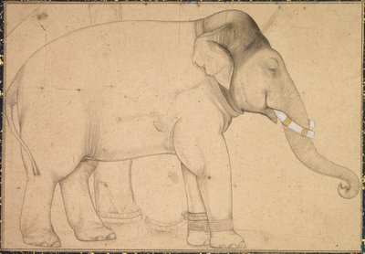 Teckning av en elefant av Unknown artist