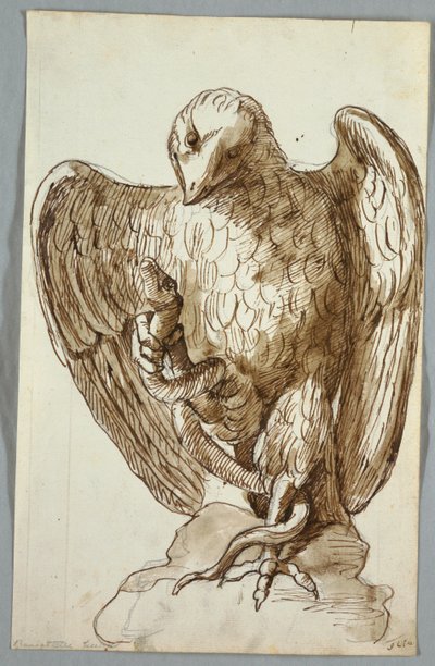 Örn och orm av Unknown artist