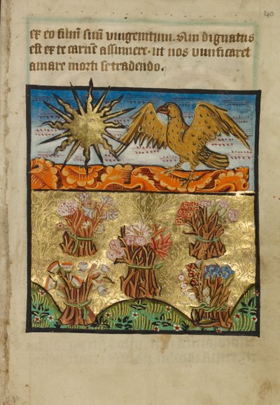 Fem buntar blommor av Unknown artist