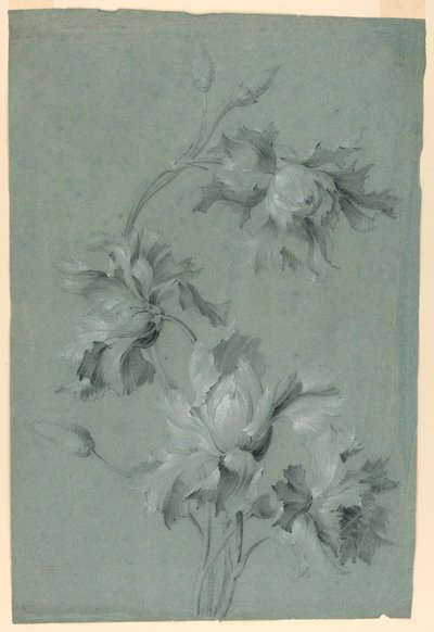 Blommig design av Unknown artist