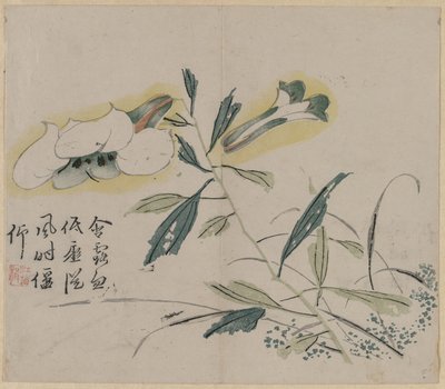 Blommande lilja av Unknown artist