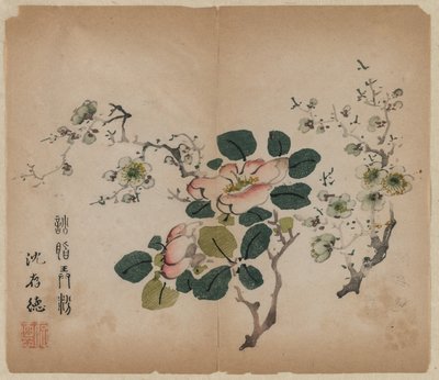Blommande Prunus av Unknown artist
