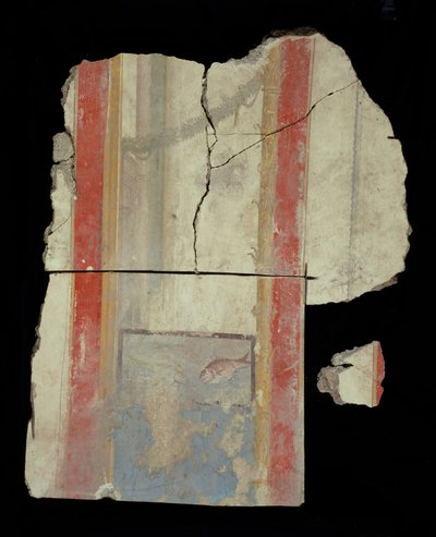Färskt fragment av Unknown artist