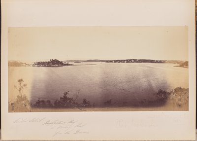 Garden Island, Rushcutters Bay och Darling Point från Domain av Unknown artist
