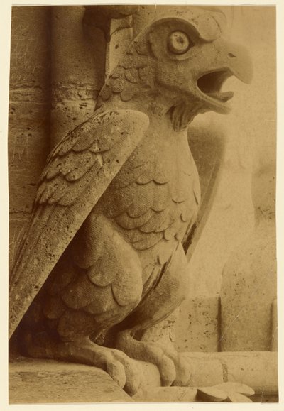 [Gargoyle, Notre-Dame] av Unknown artist