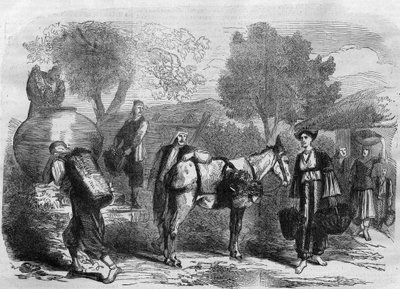 Druvskörd på Cypern - Gravyr från "" Le Journal Illustré"" av Unknown artist