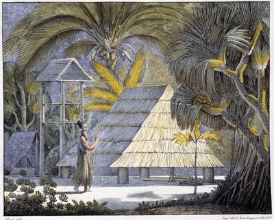 Habitat på Radaköarna, Marshallöarnas skärgård. 1800-talsgravyr. av Unknown artist