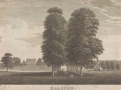 Halston; sida 22 (volym två) av Unknown artist