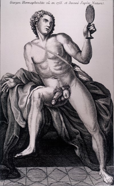 Hermafroditpojke sedd 1755 och hämtad från naturen. av Unknown artist