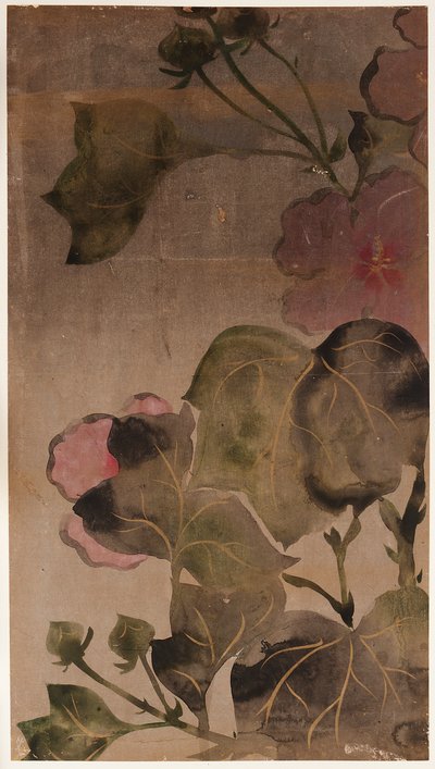 Hibiskus blommor och blad av Unknown artist