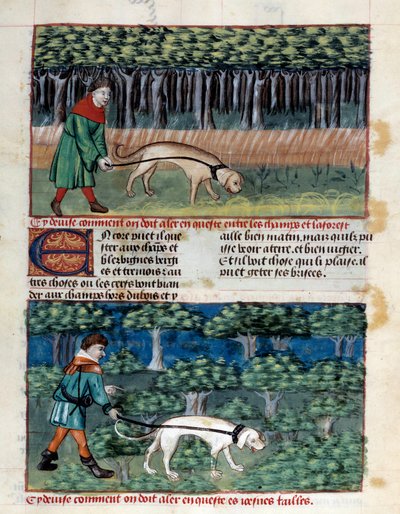 Hur man uppför hundar Miniatyr hämtad från "" Jaktens bok""" av Gaston III Phoebus, greve av Foix, Lord of Bearn (1331-1391) av Unknown artist
