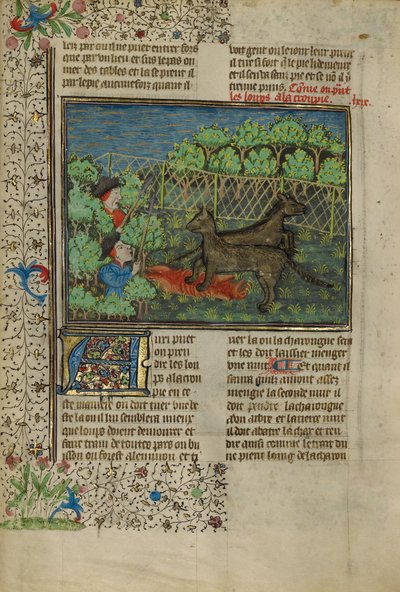 Jägare lockar till sig vargar med kadaver av Unknown artist