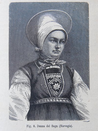 Illustration från "The human race" av Louis Figuier av Unknown artist