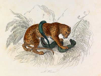 Illustration från boken "Buffons samlade verk": De fyrfotade djuren: L