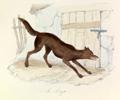 Illustration från boken "Buffons samlade verk": Les animaux: Le loup (gravyr) av Unknown artist