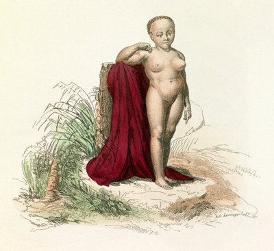 Illustration från boken "Buffons samlade verk": Människans naturhistoria: Vit negress (gravyr) av Unknown artist