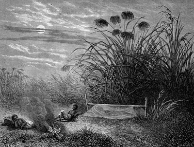 I Masoumbo: Livingstone Myggnät - "" Livingstones sista resa 1866-1873"" i "" Tour du Monde"", 2:a sem. 1875 av Unknown artist