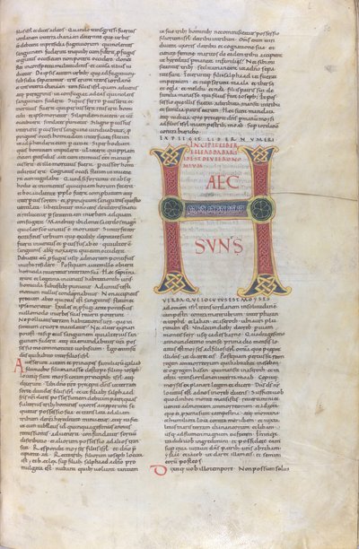 Incipit av Deuteronomiumboken, Capulettera med inskriptionen Haec sun, 1000-talet (miniatyr, membranhandskrift) av Unknown artist