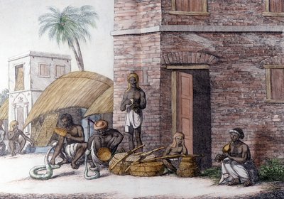Indisk kultur och civilisation: Snake Charmers i Indien. av Unknown artist