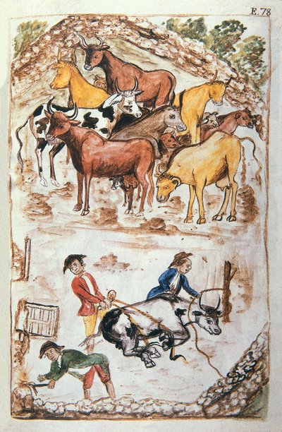 Indian Guardians of Cows, från boken "Trujillo of Peru" eller "Codex Martinez Companion", av Balthazar Martinez Companion och Bujanda, biskop av Trujillo (1782-1785) av Unknown artist