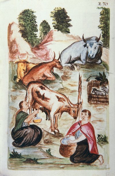 Indiska herdar som tar hand om kor, från boken "Trujillo del Peru" eller "Códice Martínez Compañón", av Baltazar Martinez Compañón y Bujanda, biskop av Trujillo (1782-1785) av Unknown artist
