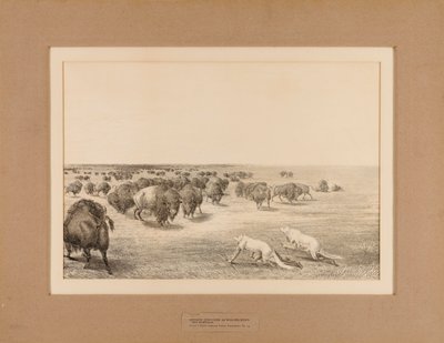 Indianer förklädda till vargar - nr 13 av Unknown artist