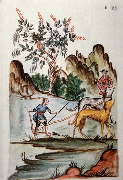 Indianer som plöjer en åker med hundar, från boken "Trujillo del Peru" eller "Codex Martinez Companion", av Baltazar Martinez Companion och Bujanda, biskop av Trujillo (1782-1785) av Unknown artist