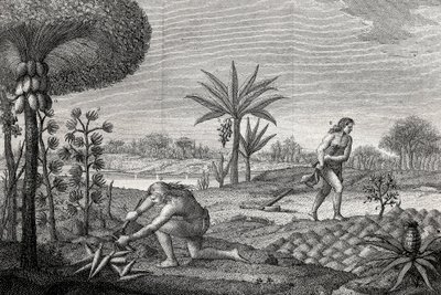 Ursprungsbefolkningen arbetar på landet i Orenoque-bassängen i Colombia. Gravyr 1780 av Unknown artist