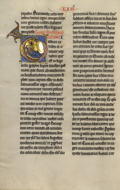 Initial T: Förblindning av Tobit av Unknown artist