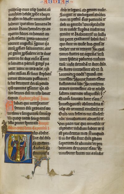Inledande text V: Obadja talar till folket i Edom av Unknown artist