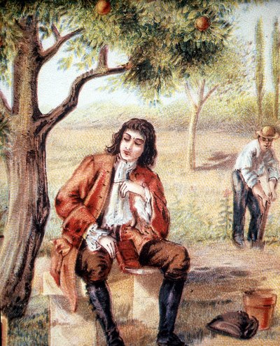 Isaac Newton (1642-1727), engelsk matematiker, fysiker och astronom, finner gravitationsteorin genom att observera ett äppelträds fall, en illustration av 1800-talet. av Unknown artist