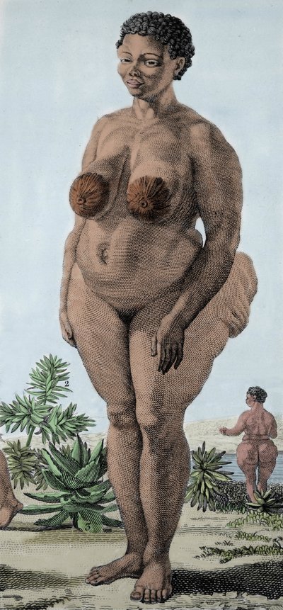 La Venus Hottentote, kvinna av rasen Bochiman; (The Hottentot Venus,) gravyr från 1815. av Unknown artist