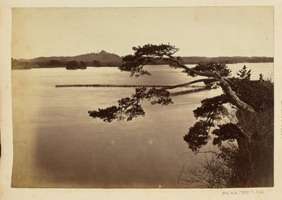 [Landskap med sjö och träd] av Unknown artist