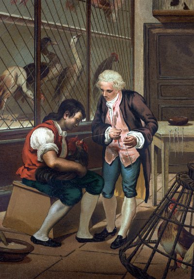 Lazzaro Spallanzani (eller Spalanzani av Unknown artist