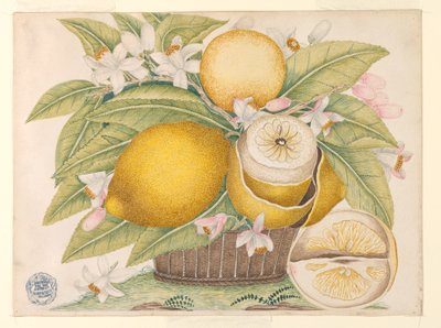 Citroner och citronblommor i en korg av Unknown artist
