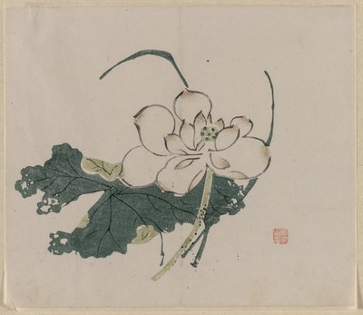 Lotusblomma av Unknown artist