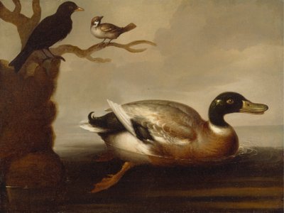 Gräsand och andra fåglar av Unknown artist