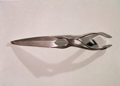 Medicinskt instrument: en dilator av Unknown artist