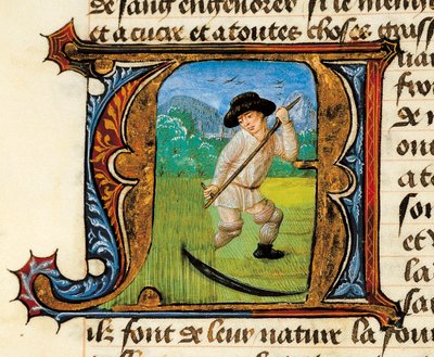 Medicin: en bonde som klipper vetet. Miniatyr hämtad från Treatise on Medicine av Aldebrande de Florence (Aldebrando) av Unknown artist