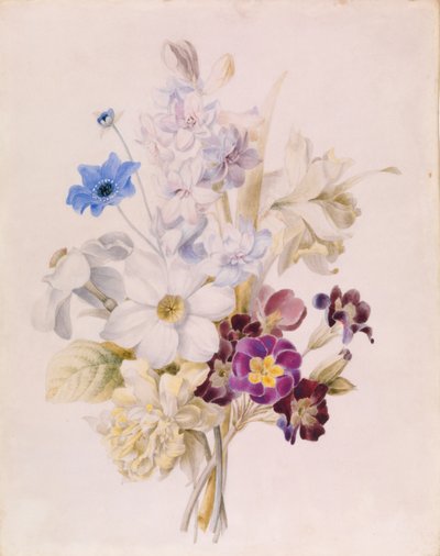 Narcissus och andra blommor av Unknown artist