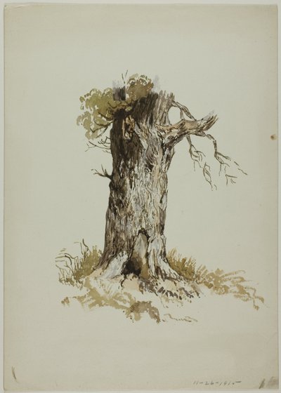 Gammal trädstam (recto); Gammal trädstam (verso) av Unknown artist