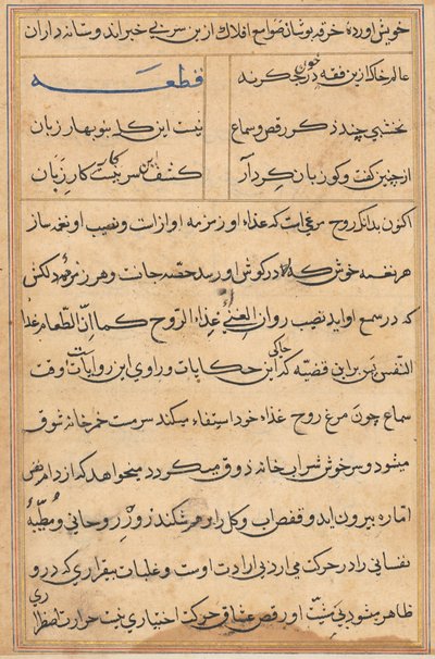 Sida från Tales of a Parrot (Tuti-nama): textsida av Unknown artist