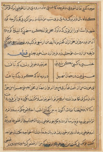 Sida från Tales of a Parrot (Tuti-nama): textsida av Unknown artist