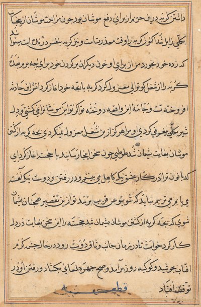 Sida från Tales of a Parrot (Tuti-nama): textsida av Unknown artist