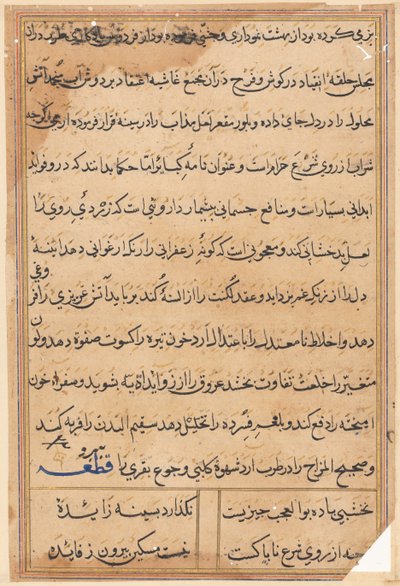 Sida från Tales of a Parrot (Tuti-nama): textsida av Unknown artist
